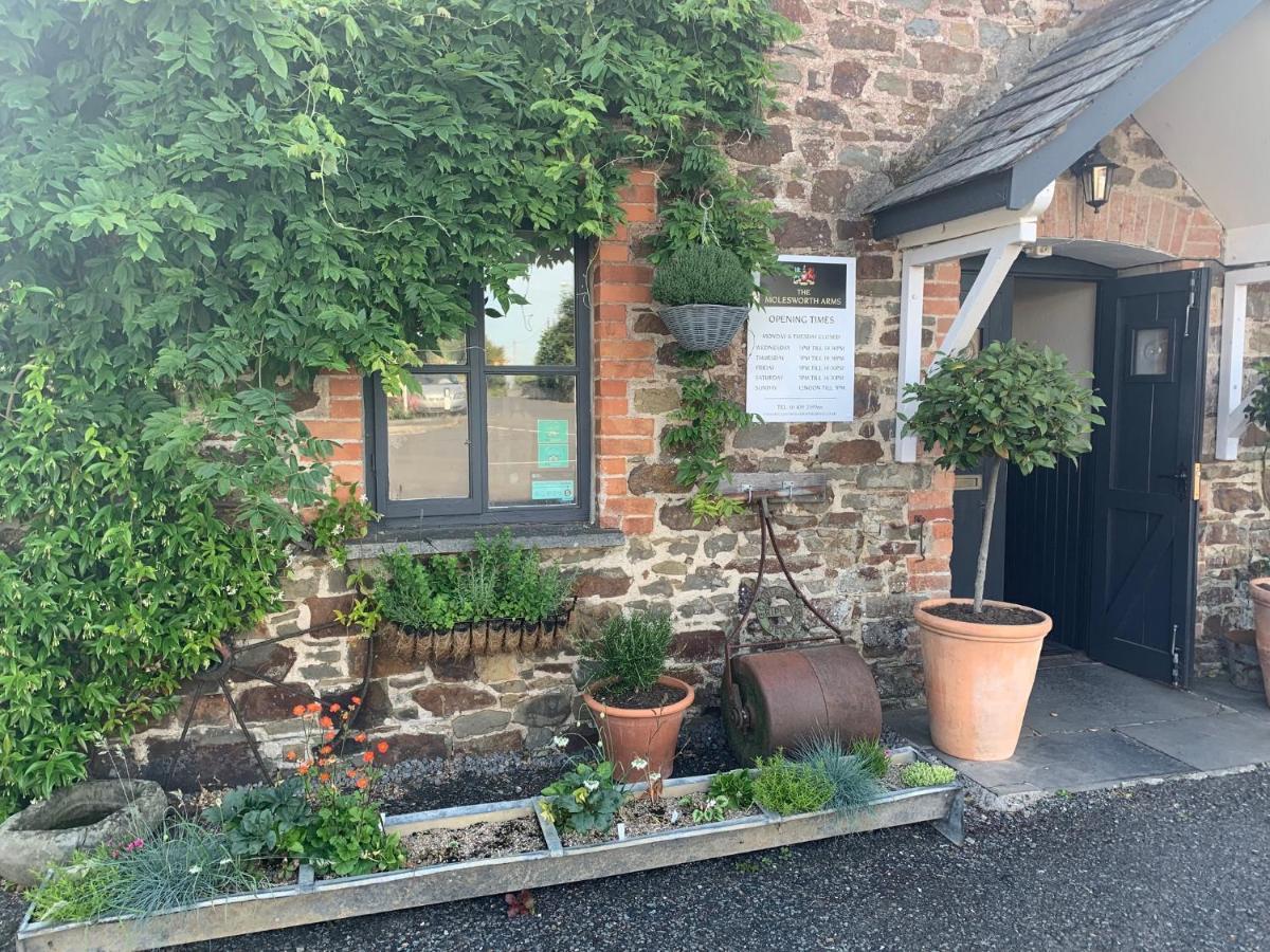 Molesworth Accommodation, Pyworthy, Devon Holsworthy Exterior foto